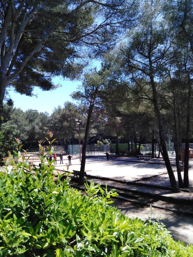 Appartement T2 Avec Piscine A 100 M De La Plage 锡富尔勒普拉日 外观 照片