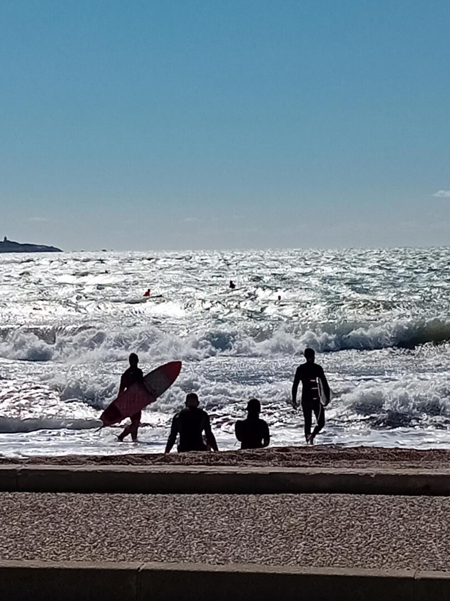 Appartement T2 Avec Piscine A 100 M De La Plage 锡富尔勒普拉日 外观 照片